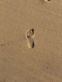 Single footprint in the sand of playa sotavento, fuerteventura, canary islands, spain