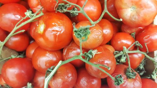 Full frame shot of tomatoes