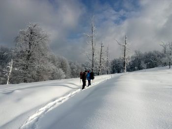 Rear view of people walking on snow covered mountain