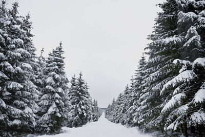 A snowy landscape in belgium, europe