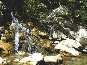 Scenic view of waterfall in forest