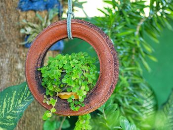 High angle view of vegetables in container