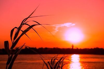 Scenic view of lake at sunset