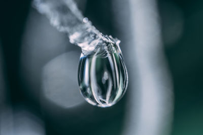 Close-up of water drop on icicle during winter