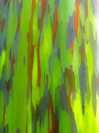 Full frame shot of multi colored background