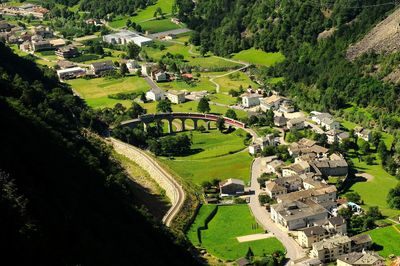 High angle view of trees and buildings