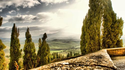 nature