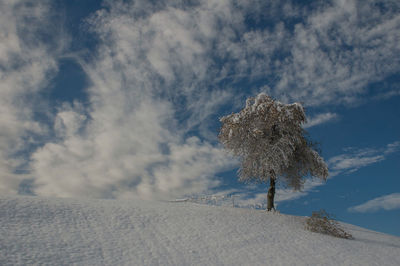 Scenic view of snow covered land against sky