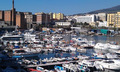 High angle view of boats moored in harbor