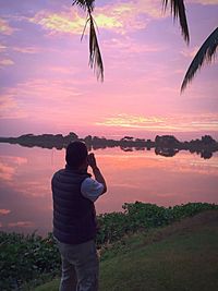 Rear view of man photographing at sunset