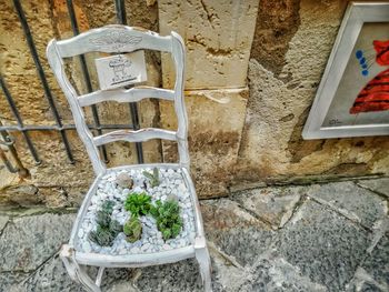 High angle view of potted plant on wall