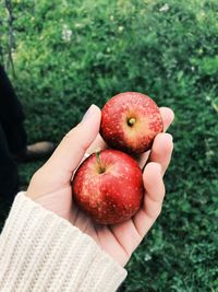 Midsection of person holding apple