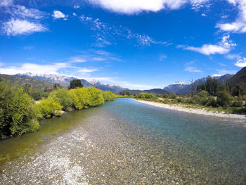 Scenic view of river amidst trees against sky