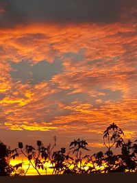 Silhouette trees against sky during sunset