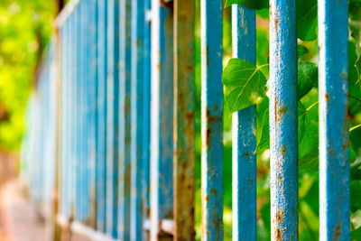 Close-up of metal fence