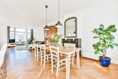 Potted plants on table at home