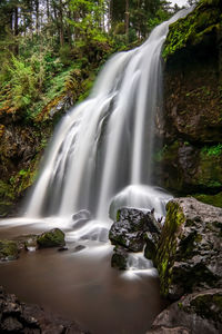 Scenic view of waterfall in forest