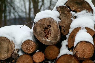 Close-up of snow on ground