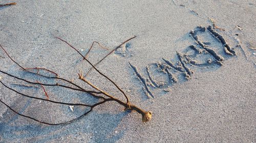 Close-up of sand on beach