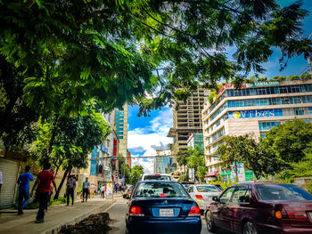 Road by trees against sky in city