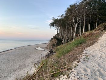 Scenic view of cliff and forest against the sea 