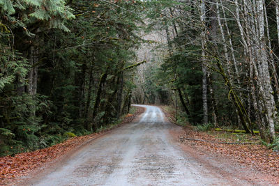 Road amidst trees in forest