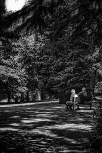 People sitting on bench in park