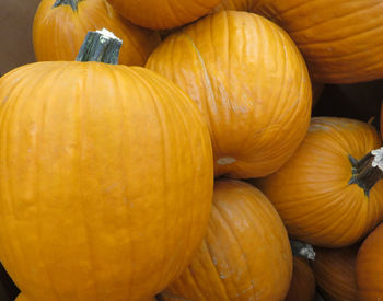 Full frame shot of pumpkins at market stall