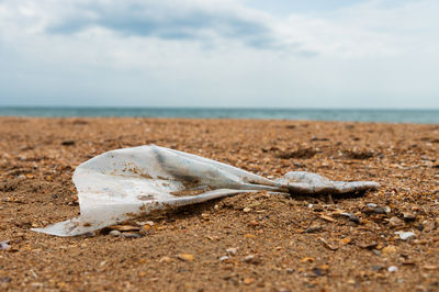 sea