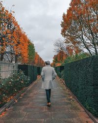 Rear view of man walking on footpath during autumn