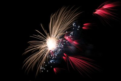 Low angle view of firework display against sky at night