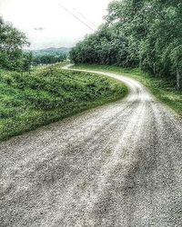 Country road along trees