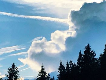 Low angle view of trees against cloudy sky