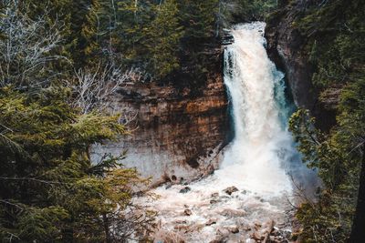 Scenic view of waterfall in forest