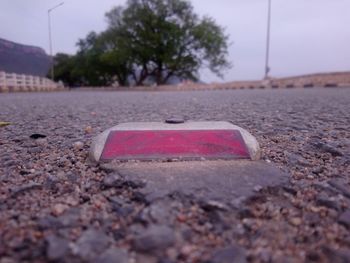 Surface level of road against trees in city