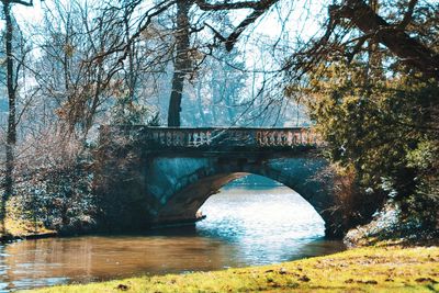 Arch bridge over river in forest