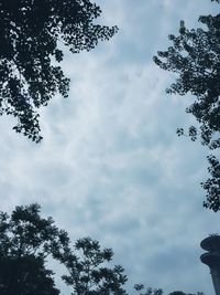 Low angle view of silhouette tree against sky