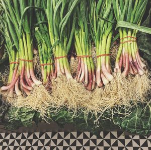 High angle view of scallions on table