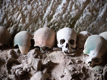 High angle view of human skulls