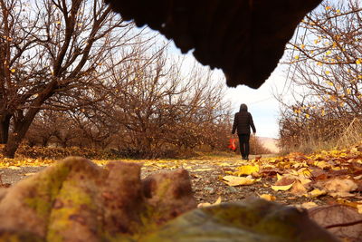 Rear view of person standing on dry autumn leaves