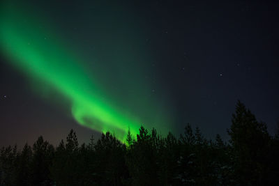 Low angle view of silhouette trees against sky at night