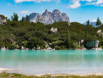 Scenic view of lake by trees against sky