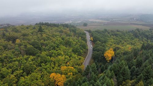 High angle view of trees in forest against sky