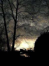 Low angle view of silhouette trees against sky