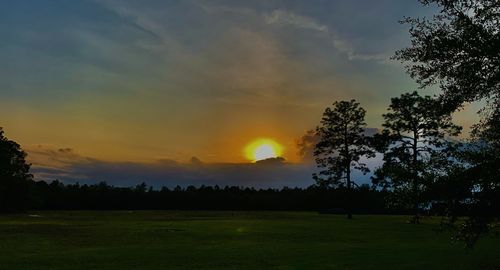 Silhouette trees on field against sky during sunset