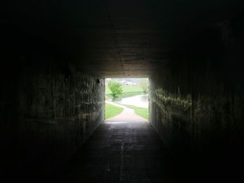 Narrow alley along trees