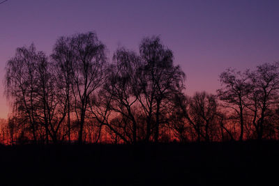 Silhouette bare trees against clear sky at sunset