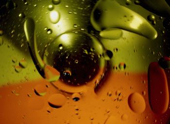 Close-up of water drops on drink