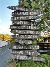 Information sign by tree against sky