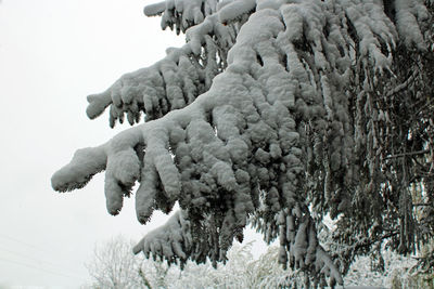 Low angle view of frozen statue against sky